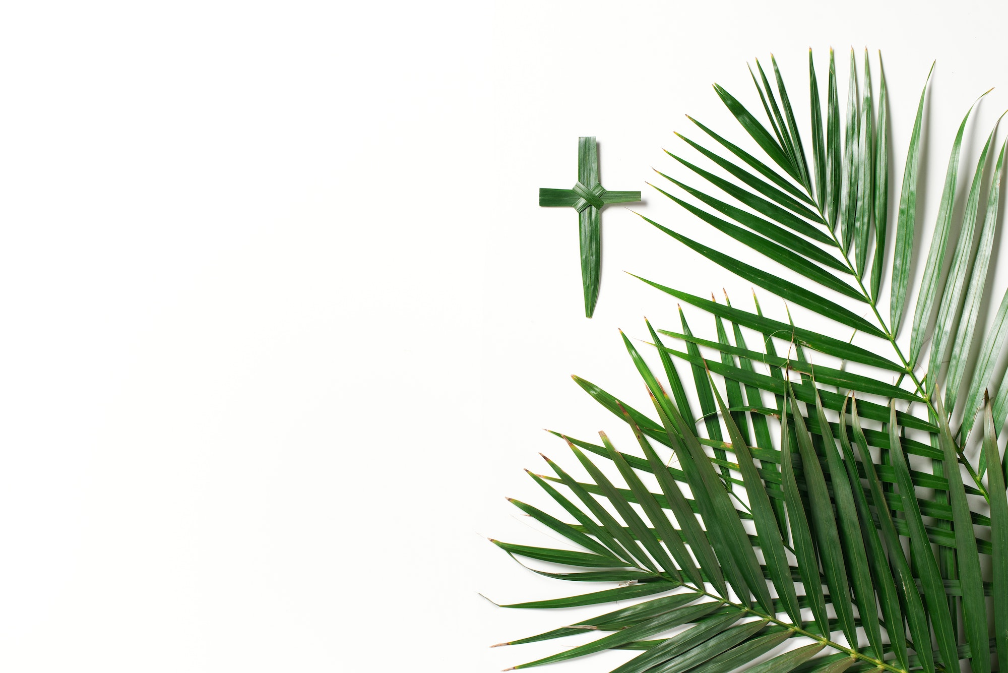 Palm Sunday concept. Cross made of palm and tropical leaves isolated on white background. Christian